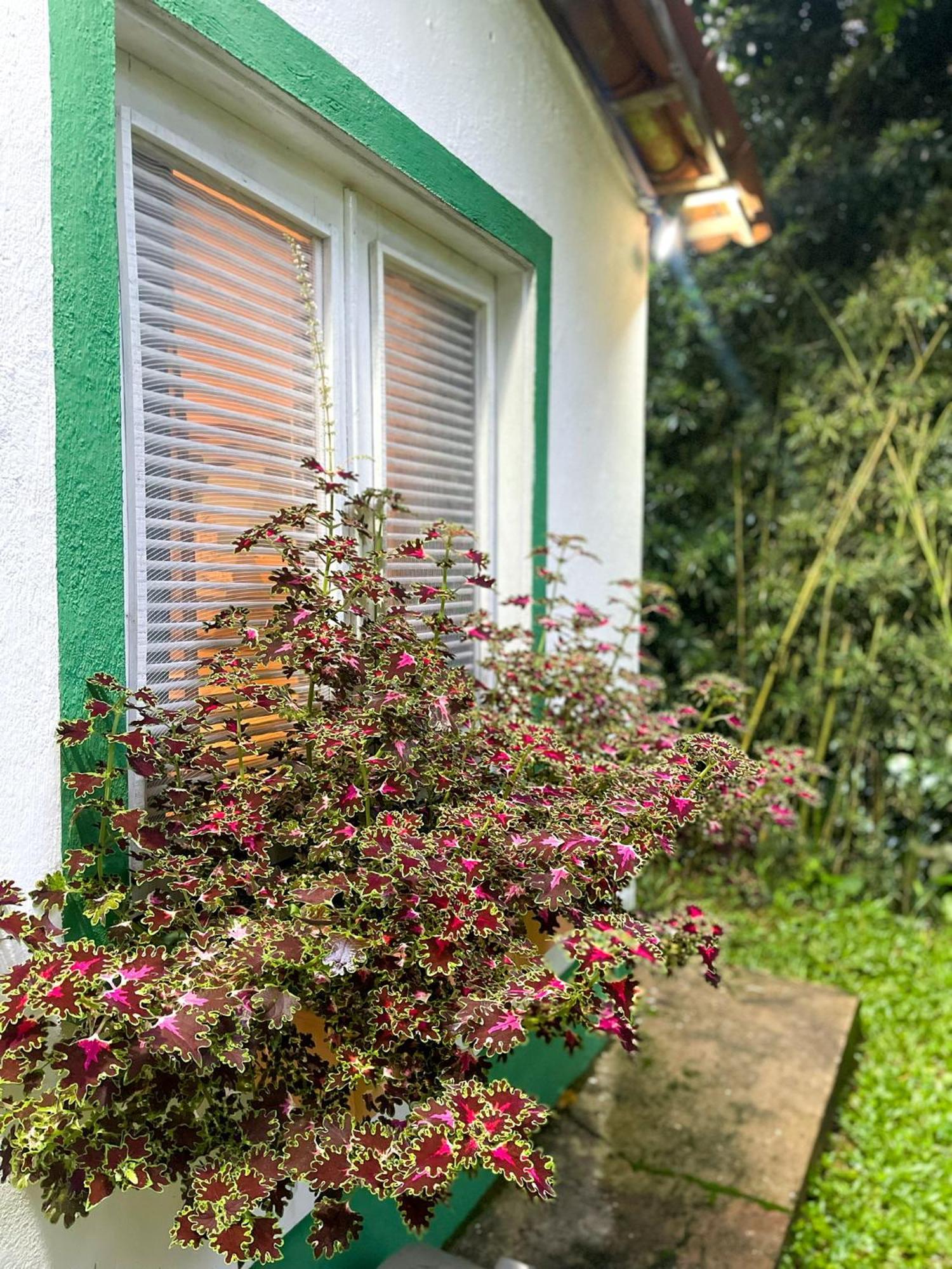 Olho D'Agua Pousada Guaramiranga Buitenkant foto